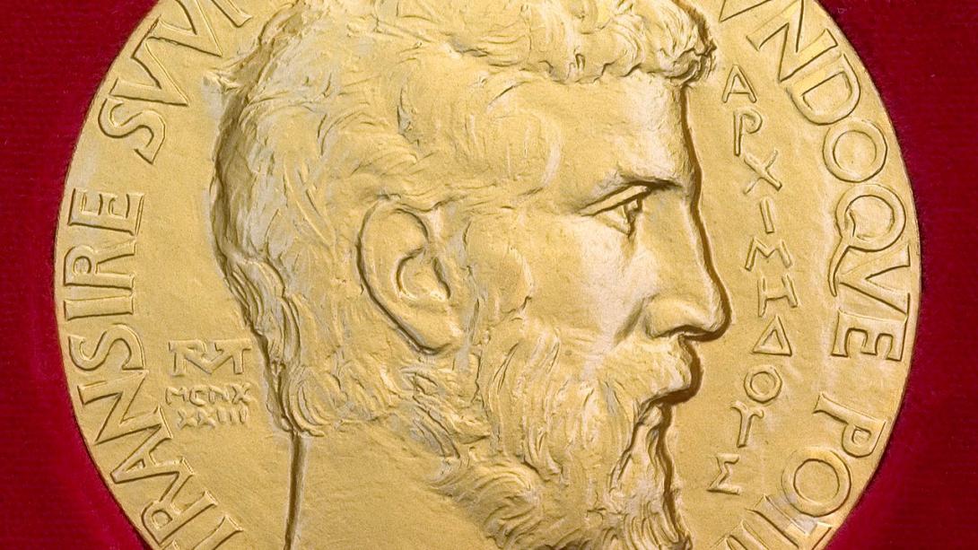 Fields medal front side. [From Wikipedia. Released into the public domain by the author, Stefan Zachow of the International Mathematical Union; retouched by King of Hearts.]